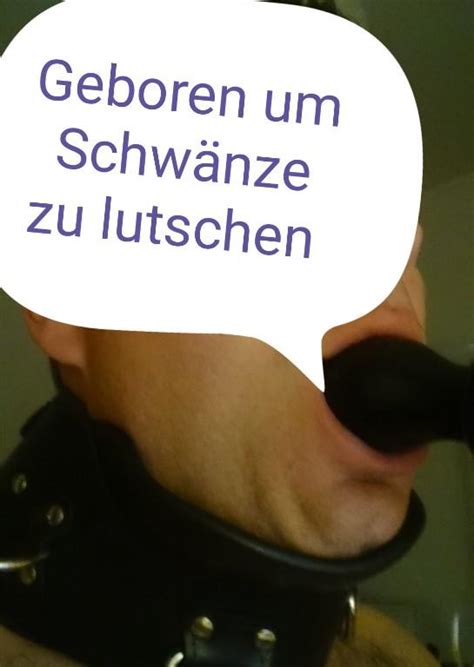 schwänze lutschen|Schwanz Lutschen Porno Videos 